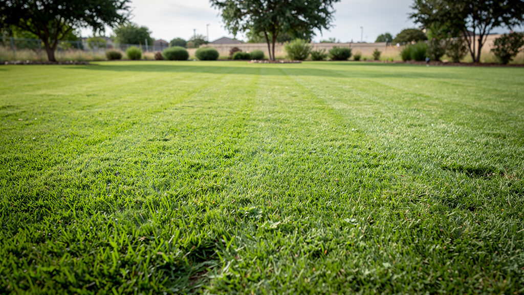 Clean property after fence removal and site preparation